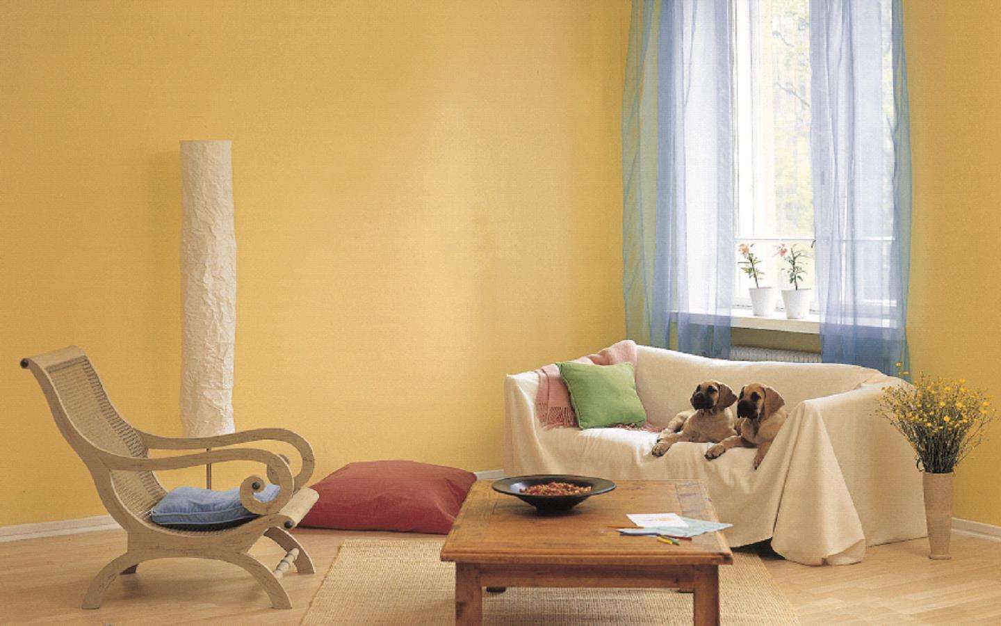 家裝墻壁顏色如何搭配家裝墻壁顏色搭配技巧